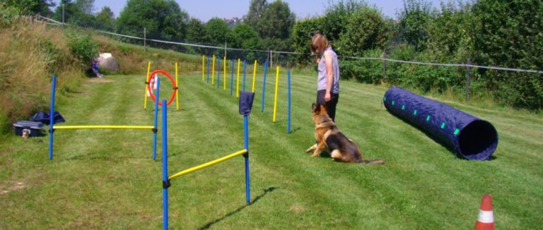 Deutschland Ferienhaus mit Hund eingezäunt Garten Grundstück Hundeplatz